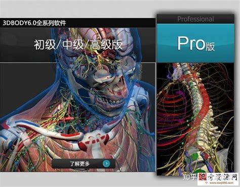 3DBody6.0男女解剖软件局部解剖视频全集（赠解剖软件+奈特人体图谱14本） - 知乎