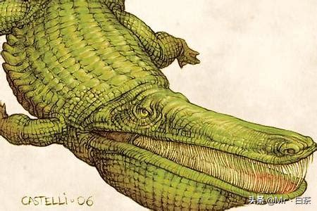 古代淡水帝王帝鳄，嘴巴巨大一口吞掉恐龙(13米/11吨)_小狼观天下