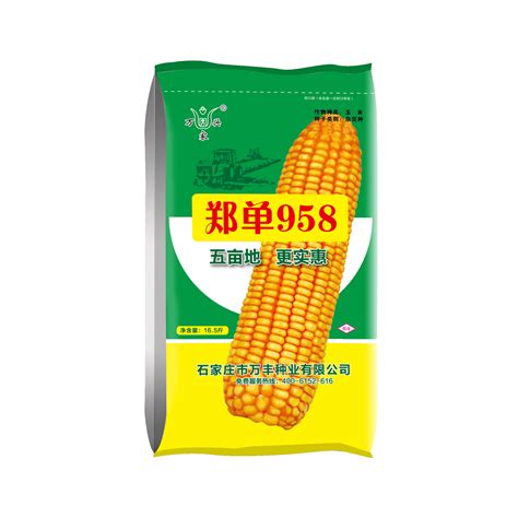 郑单958玉米_农资_种子_油料种子_玉米种子_金农网报价中心
