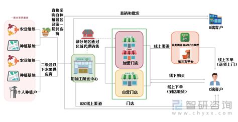 中国水果产业商业模式全景图 | 物流报-运车服务网