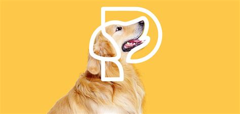 宠物店logo设计：简洁易懂、辨识度高、色彩鲜明