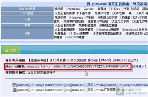 用好迅雷磁力链接 迎接BT下载2.0时代 - 杭州合众软件有限公司