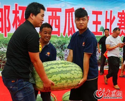 122.2斤！这个西瓜称霸东明史上最大“瓜王”-新闻中心-东营网