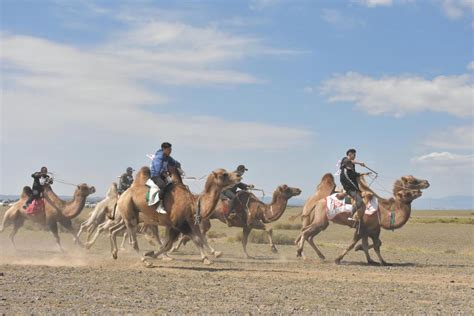 新疆和布克赛尔蒙古自治县举办赛马、赛骆驼比赛_阿克苏新闻网