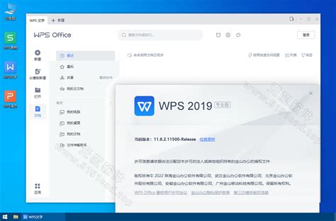 wps专业版下载_wps专业版v13.20.0免费下载-皮皮游戏网