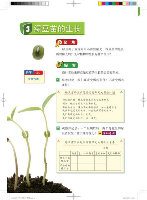 绿豆苗的种植方法-农百科