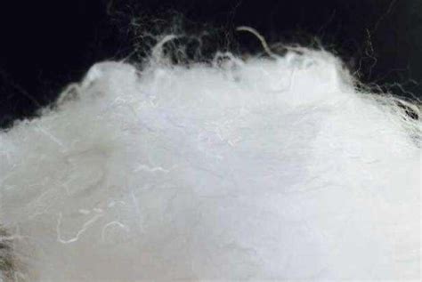 棉和纯棉的有啥区别 - 早若网