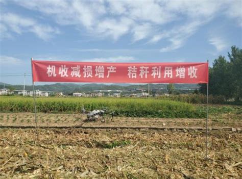 湖北竹山：智慧农业产业园带动农户稳就业促致富-人民图片网