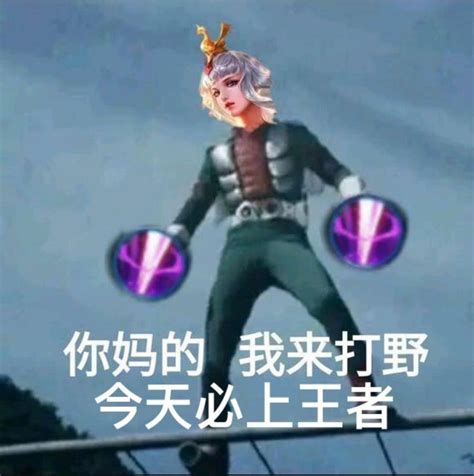 王者荣耀搞笑图图片