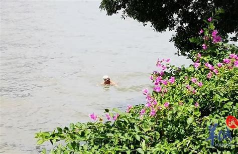 航拍夏天在江河里游泳的人4K素材mp4格式视频下载_正版视频编号98154-摄图网