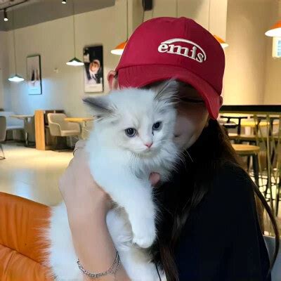 甜美女生抱猫咪头像动漫