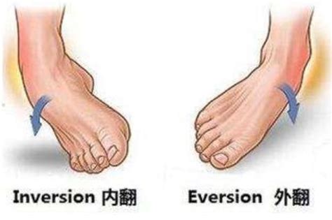 左足图片