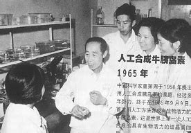 中国人工全合成牛胰岛素，一段永被铭记的历史_科普中国网