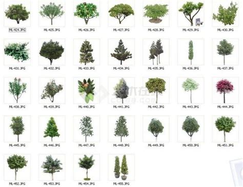 植树节种树的两个孩子插画图片下载-正版图片401678460-摄图网