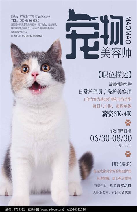 宠物店萌宠美容师招聘海报设计图片下载_psd格式素材_熊猫办公