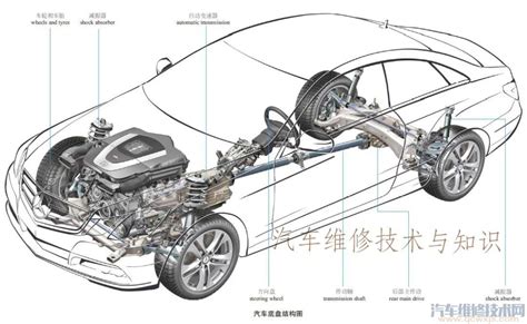 汽车各部位名称高清图解，你都知道吗？-新浪汽车