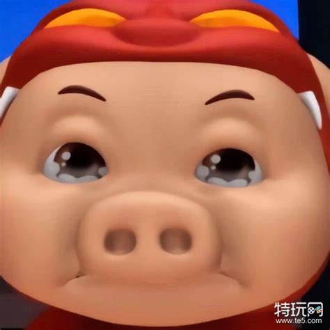 死猪表情包图片