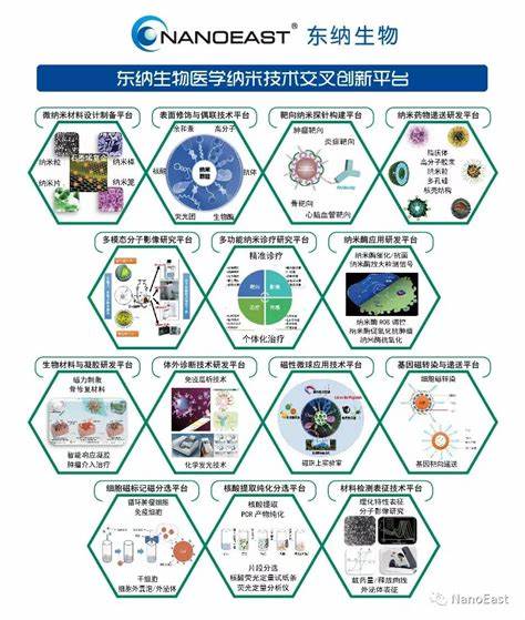 纳米材料与技术学科排名