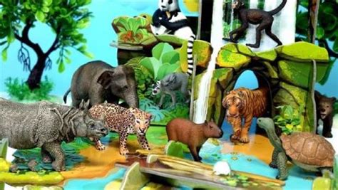 动物世界系列：许多丛林动物的惊喜_高清1080P在线观看平台_腾讯视频