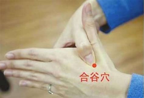 合谷位置图图片