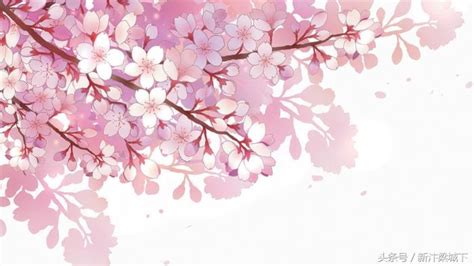 写樱花最出名的诗句（50句关于描写樱花的唯美短句） | 幺林灵（100）