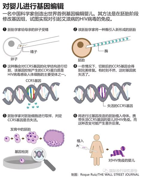 最新研究发现，贺建奎的“基因编辑婴儿”，寿命可能变短__凤凰网