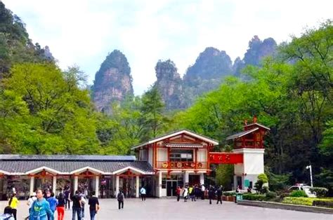 张家界：免自己的票，让游客无票可买 - 湖南省文化和旅游厅