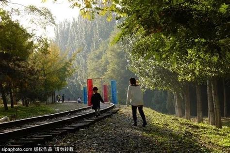 幸福情侣在公园里拍照高清摄影大图-千库网