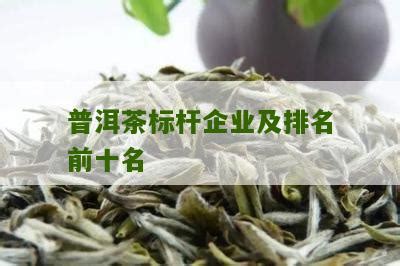 普洱茶标杆企业及排名前十名_普洱茶