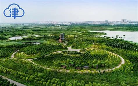 云南永胜县建起湖泊最后一道生态屏障