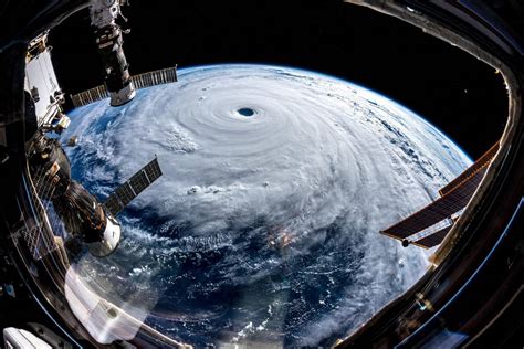台风是怎么形成的（台风的成因及影响） – 碳资讯