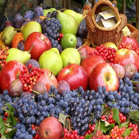 水果与艺术的亲密接触——水果拼盘大赛 - 广西贺州职业学院