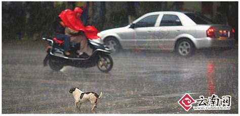 云南昆明市西山区、富民县出现强降雨天气 导致部分道路淹水、塌方，农田不同程度积水-高清图集-中国天气网云南站