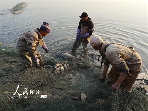 甘肃临泽：农民养鱼助力增收【6】--图片频道--人民网