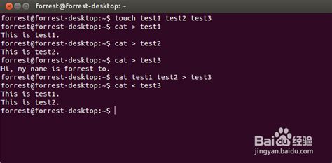 查看文件内容cat、more；统计wc；搜索grep；压缩gzip；归档tar等命令_cat grep 计数 wc-CSDN博客