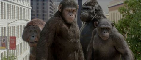《猩球崛起3》今日上映 人类与猿族“决一死战”