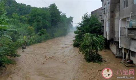 松花江2021年第1号洪水来袭 哈尔滨段部分沿江地带被淹-图片频道