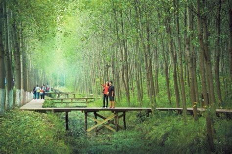 2023扬州东湖湿地公园在哪 - 怎么去 - 游玩攻略_旅泊网