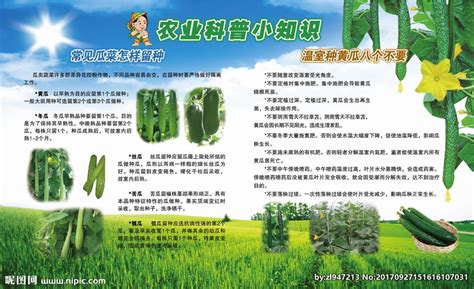 农业科普知识展板图片_农业科普知识展板设计素材_红动中国
