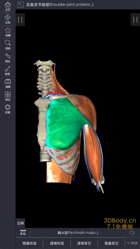 3dbody人体解剖学app下载-3dbody三维免费人体解剖软件下载v8.7.51 官方安卓版-绿色资源网