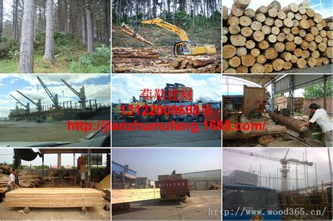 松木木材加工厂-木方木材加工厂