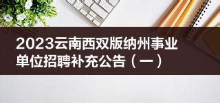 2023云南西双版纳州事业单位招聘报名缴费人数（截至2023年3月31日15点）|云南省|事业单位_新浪新闻