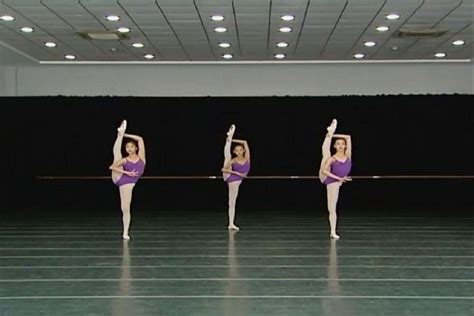 中国舞基本功动作,中舞技巧名称及,中舞基本动作_大山谷图库