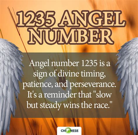 What Is The Meaning of The 1235 Angel Number? - TheReadingTub