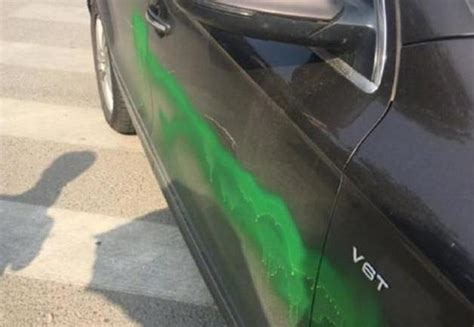 泉州一业主车停小区被泼漆 物业拒让其查看监控 - 城事要闻 - 东南网泉州频道