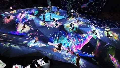 TeamLab 无边界数字艺术博物馆_展厅设计专家-站酷ZCOOL