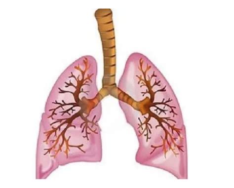 超过一半肺癌患者都存在这种突变，显著影响靶向和免疫治疗疗效！-觅健
