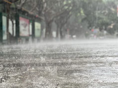 雨水的主要成分是什么？