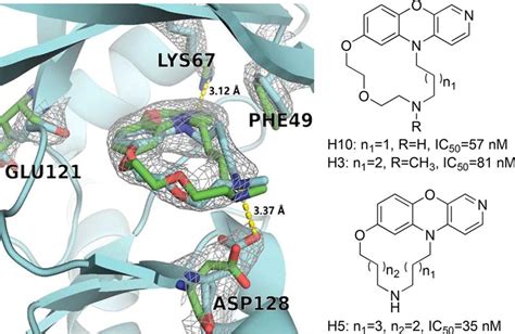 一类新型大环类 Pim-1 激酶抑制剂的设计、合成及生物活性评估 - Niu Huang