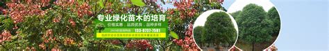 平利县新叶苗木绿化logo设计 - 标小智LOGO神器